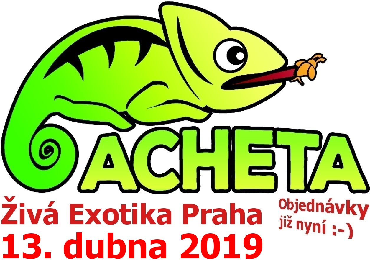 ŽIVÁ EXOTIKA Praha - Holešovice  v sobotu 13. dubna 2019