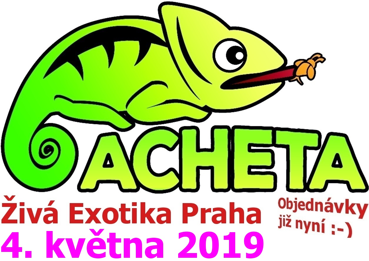 ŽIVÁ EXOTIKA Praha - Holešovice  v sobotu 5. května 2019