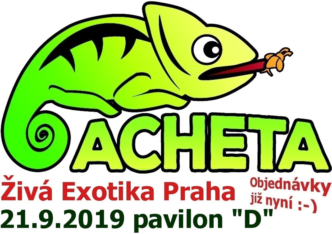 ŽIVÁ EXOTIKA Praha - Holešovice pavilon 