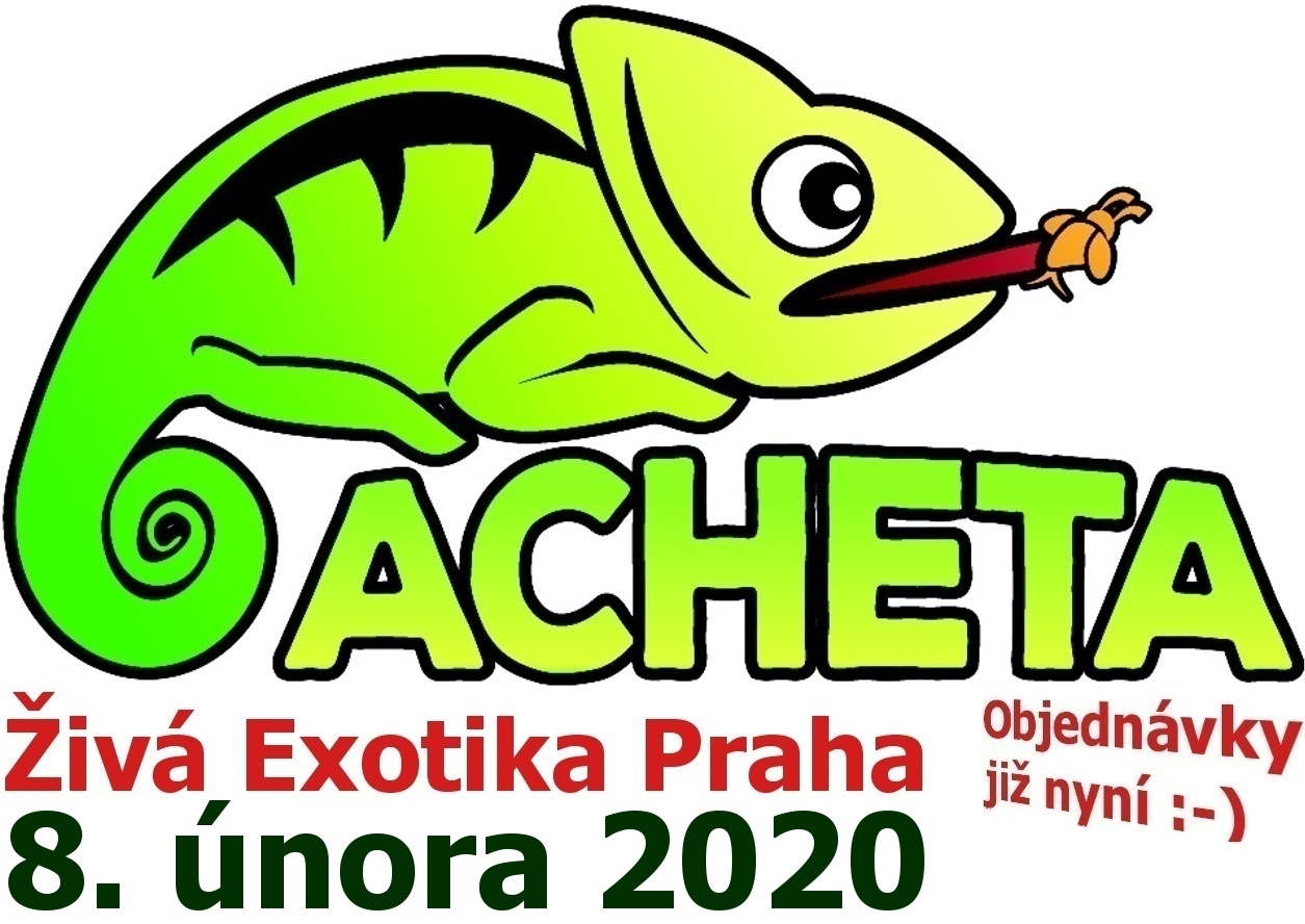 ŽIVÁ EXOTIKA Praha - Holešovice pavilon 