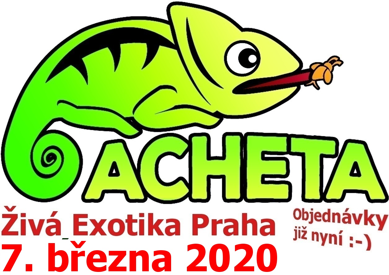 ŽIVÁ EXOTIKA Praha - Holešovice pavilon 