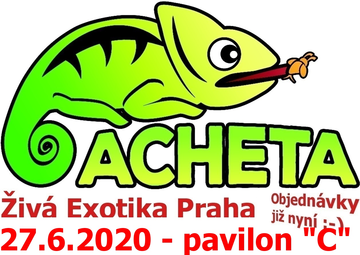 ŽIVÁ EXOTIKA Praha - Holešovice pavilon 