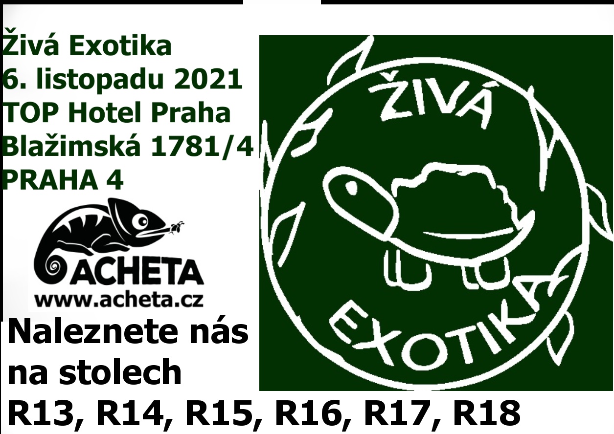 ŽIVÁ EXOTIKA Praha 4 - TOP Hotel Praha, Blažimská 1781/4, Praha 4   v sobotu 6. listopadu 2021