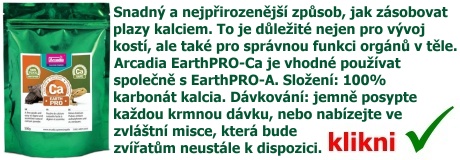 Čistý Vápník CA