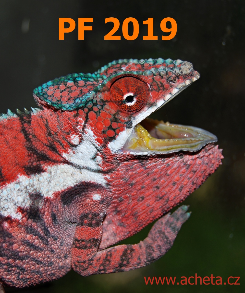 PF 2019