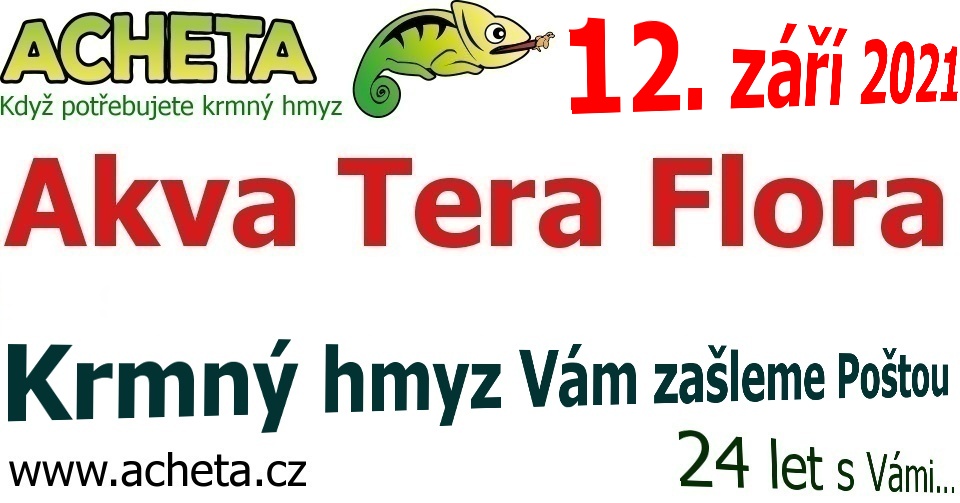 Burza Akva Tera Flora - Hradec Králové ALDIS - 12. září 2021
