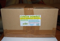 Cvrček domácí 