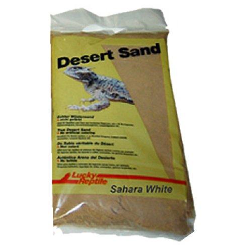 Lucky Reptile Desert Sand Sahara bílý 25kg