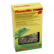 Flower Mix Lucky Reptile