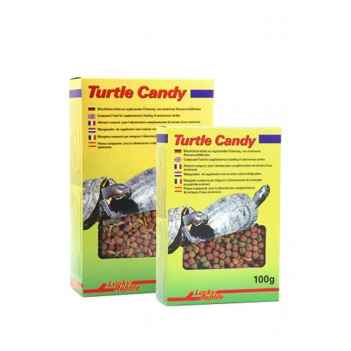 Lucky Reptile Turtle Candy