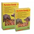 Tortoise Candy Lucky Reptile