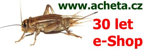 30 let proddeje e-Shopem